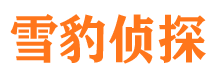 和布克赛尔寻人公司